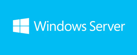 logo windows server