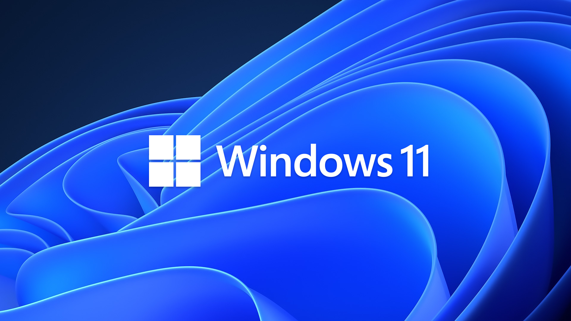 logo windows 11