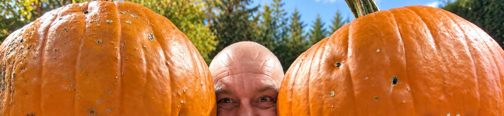 Steijvers.com